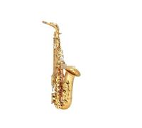 Sassofono Contralto Mib Tune Ottone Metallo Laccato Strumenti Musicali Professionali Con Custodia Bocchino (Color : 01)