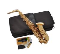 Sassofono Contralto Professionale In Mi Bemolle Dorato Con Pad Kit Sassofono