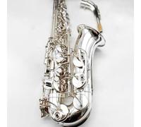 Sassofono Contralto Professionale Silver Mi Bemolle Strumento Jazz Sax Contralto(Bag A)
