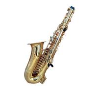 Sassofono contralto SAS 802 Gold Professional 802 con custodia per bocchino e accessori Kit Sassofono