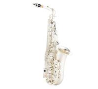 Sassofono Contralto Sassofono contralto argentato Strumenti musicali Sax Mi bemolle con bocchino professionale