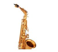 Sassofono Contralto Sassofono contralto B-key Strumento Esame per principianti Adulto B-flat Performance professionale(Gold champagne model)