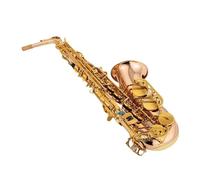 Sassofono Contralto Sassofono contralto Bronzo fosforoso Rame Sax contralto Bocchino Ance Collo Strumento musicale(Leather bag)