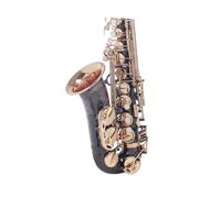 Sassofono Contralto Sassofono contralto E-Fall in bronzo fosforoso/smerigliato anticato/chiavi in nichel nero laccato oro/laccato oro(Black Nickel Gold Lacquer Keys)
