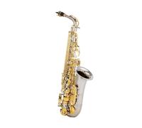 Sassofono Contralto Sassofono contralto Eb Strumento a fiato Principiante Adulto Professionale Sassofono di livello di prestazione Set completo di accessori(Silve)