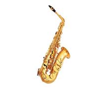 Sassofono Contralto Sassofono contralto Eb Tune in ottone laccato oro Strumento musicale Sax E-flat con custodia Accessori(PU Leather Case)
