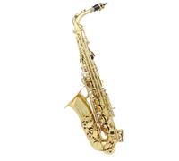 Sassofono Contralto Sassofono contralto in mi bemolle in ottone placcato in argento strumento a fiato professionale sax in mi bemolle(Golden Style 7)