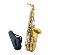 Sassofono Contralto Sassofono contralto in mi bemolle Sax Shell Key Carve Pattern Strumento a fiato con custodia Altri accessori