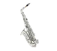 Sassofono Contralto Sassofono contralto in stile argento Mib in ottone placcato argento Strumento a fiato professionale in mi bemolle(Silver Style1)