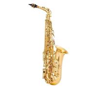 Sassofono Contralto Sassofono contralto oro Sassofono contralto Nero oro Professionale Top performance Bocchino Accessori(Gold)