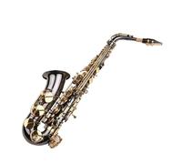 Sassofono Contralto Sassofono Mib Mib Sassofono contralto Sax Corpo in ottone nichelato con chiavi in conchiglia naturale Strumento a fiato