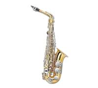 Sassofono Contralto Sassofono Mib Sassofono Alto Argento Dorato Per Principianti Adulti Con Ancia Cinghia Guanto Accessori(Gold Silver set 2)