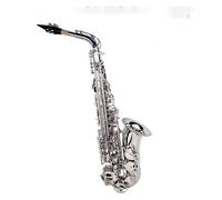 Sassofono Contralto Sassofono Mib Sassofono Alto Argento Per Principianti Adulti Con Ancia Cinghia Guanto Accessori(Saxophone)