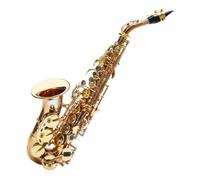 Sassofono Contralto Sassofono piccolo con tubo curvo acuto in Si bemolle per principianti per adulti