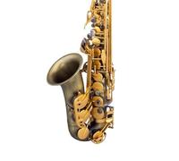 Sassofono Contralto Sassofono Strumento Professionale Prestazioni Contralto Mi Bemolle Canapa Oro Canapa Argento Principiante(Hemp green bronze)