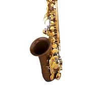 Sassofono Contralto Sassofono Strumento Professionale Prestazioni Contralto Mi Bemolle Canapa Oro Canapa Argento Principiante(Vintage bare copper)