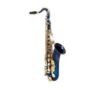 Sassofono Contralto Sassofono tenore Blue Gold B Flat Sassofono per studenti principianti con custodia portatile aggiornata Ancia Guanti Tracolla