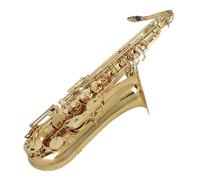 Sassofono Contralto Sassofono tenore Si bemolle per principianti con custodia portatile aggiornata guanti per ance tracolla e supporto(Goden saxophone)
