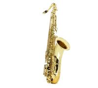 Sassofono Contralto Sassofono tenore Si bemolle Sassofono tenore Principiante Livello di prestazione professionale Collezione di strumenti