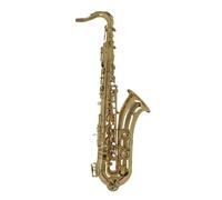 Sassofono Contralto Sassofono tenore Sib in ottone laccato oro Sax Strumento a fiato con custodia Guanto Panno per la pulizia Accessori