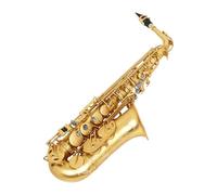 Sassofono Contralto Strumento sassofono Sassofono contralto Mi bemolle opaco per principianti Orchestra che suona Sassofono dorato