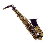 Sassofono Corpo In Ottone Laccato Viola Chiavi Dorate Mi Bemolle Sassofono Contralto Sax Professionale Con Accessori