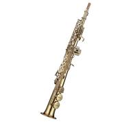 sassofono Esame Di Esecuzione Professionale Per Principianti Dello Strumento Sassofono Soprano Dritto In Si Bemolle