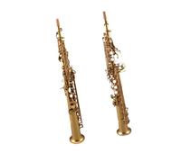 sassofono Gli Studenti Suonano Il Sassofono Contralto, Sassofono Di Livello Professionale Principiante In Si Bemolle