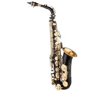 Sassofono nero vernice in ottone strumento per principianti e intermedi con custodia per il trasporto