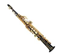 Sassofono Ottone Dritto Sassofono Acuto Bb B Flat Sax Strumento A Fiato Natural Shell Keys Carve Pattern (Color : 02)