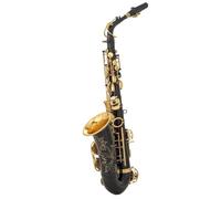 Sassofono Per Principianti Sassofono Contralto In Mib Ottone Laccato Oro Mi Bemolle Strumento A Fiato Sassofono Professionista Per Principianti E Adulti(Black)