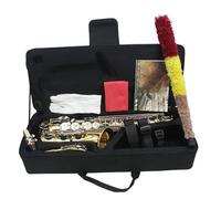 Sassofono Per Principianti Sassofono Contralto In Mib Sassofono In Ottone Sax Contralto Professionale Con Ance Cinghie Spazzolino Per Denti Accessori Strumento Musicale