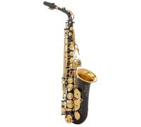 Sassofono Per Principianti Sassofono Contralto Mib Ottone Laccato Oro Mi Bemolle Sax Strumento A Fiato Strumento Professionale Per Principianti E Adulti(Black)