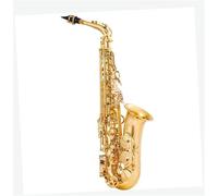 Sassofono Per Principianti Sassofono Contralto Mib Ottone Laccato Oro Mi Bemolle Sax Strumento A Fiato Strumento Professionale Per Principianti E Adulti(Gold)