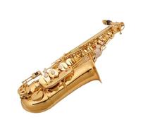 Sassofono Per Principianti Sax Contralto SUZUKI Ottone Strumento E Musica Piatta Sassofono Professionale E Parti Prestazioni Per Adulti Per Principianti