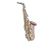 Sassofono Per Principianti Test Di Prestazione Professionale Per Principianti Di Strumenti A Fiato Per Sassofono Contralto In Mi Bemolle Con Scatola Degli Strumenti