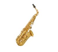 Sassofono Principianti Sassofono contralto 875EX in Mi bemolle in ottone placcato oro Custodia per strumento Accessori inclusi