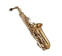Sassofono Principianti Sassofono Contralto In Mib Finitura Ottone Strumento A Fiato Dorato Con Spazzola Per La Pulizia Panno Guanti Cinghia E Cuscinetto.