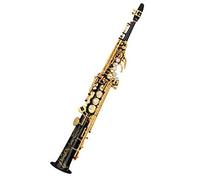 Sassofono Professional Carve Pattern Brass Straight Sassofono Acuto Bb B Flat Sax Strumento Per Principianti Adulti (Color : 02)