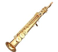 Sassofono Professionale 82Z Ottone Dritto Sassofono Contralto Sassofono Sib Si Bemolle Strumento A Fiato In Legno Conchiglia Naturale Chiave Intagliata Modello(Gold)