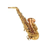 Sassofono Professionale Amanti Della Musica Alto Mib Tune Sassofono Strumento Musicale In Ottone Sax Laccato Oro Con Custodia Accessori Per Strumenti Musicali(A)