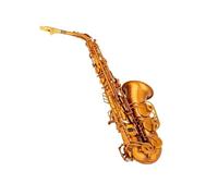 Sassofono Professionale Amanti Della Musica Principiante Tasti Per Sassofono Contralto In Mib Custodia In Ottone Per Set Di Accessori Per Sassofono Professionale Strumenti A Fiato(A)