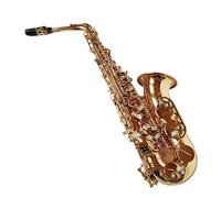 Sassofono Professionale Artisti Professionisti Sassofono Contralto Mib Ottone Lacca Dorata Strumento Musicale Sax Mi Bemolle Con Custodia Accessori(A)