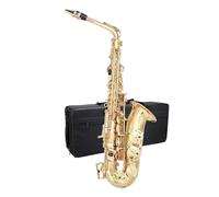 Sassofono Professionale Kit Per Principianti Sassofono Contralto Laccato Oro Con Custodia Per Ance Panno Morbido E Guanti Per Asta Neri(Gold)