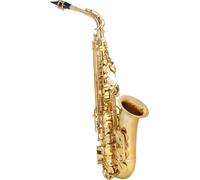 Sassofono Professionale Ottone con Custodia Bocchino Bachetta Pulizia