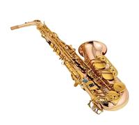 Sassofono Professionale Principianti E Adulti Sassofono Contralto Bronzo Fosforoso Rame Sax Alto Ance Collo Strumento Musicale(B)