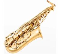 Sassofono Professionale Professionale Per Gli Amanti Della Musica Sassofono Dorato Strumento Per Sassofono Contralto Eb Con Accessori Speciali(Gold)