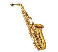 Sassofono Professionale Sassofono Alto E Sax Strumento Musicale Con Custodia Accessori Adatto A Principianti E Adulti Per Esercitarsi Nella Performance(Hard pack)