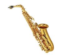 Sassofono Professionale Sassofono Alto E Sax Strumento Musicale Con Custodia Tutti Gli AccessoriStrumenti Musicali Professionali Per Principianti E Adulti(A)