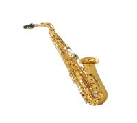Sassofono professionale Sassofono contralto 875EX in Mi bemolle in ottone placcato oro Custodia per strumento Accessori inclusi